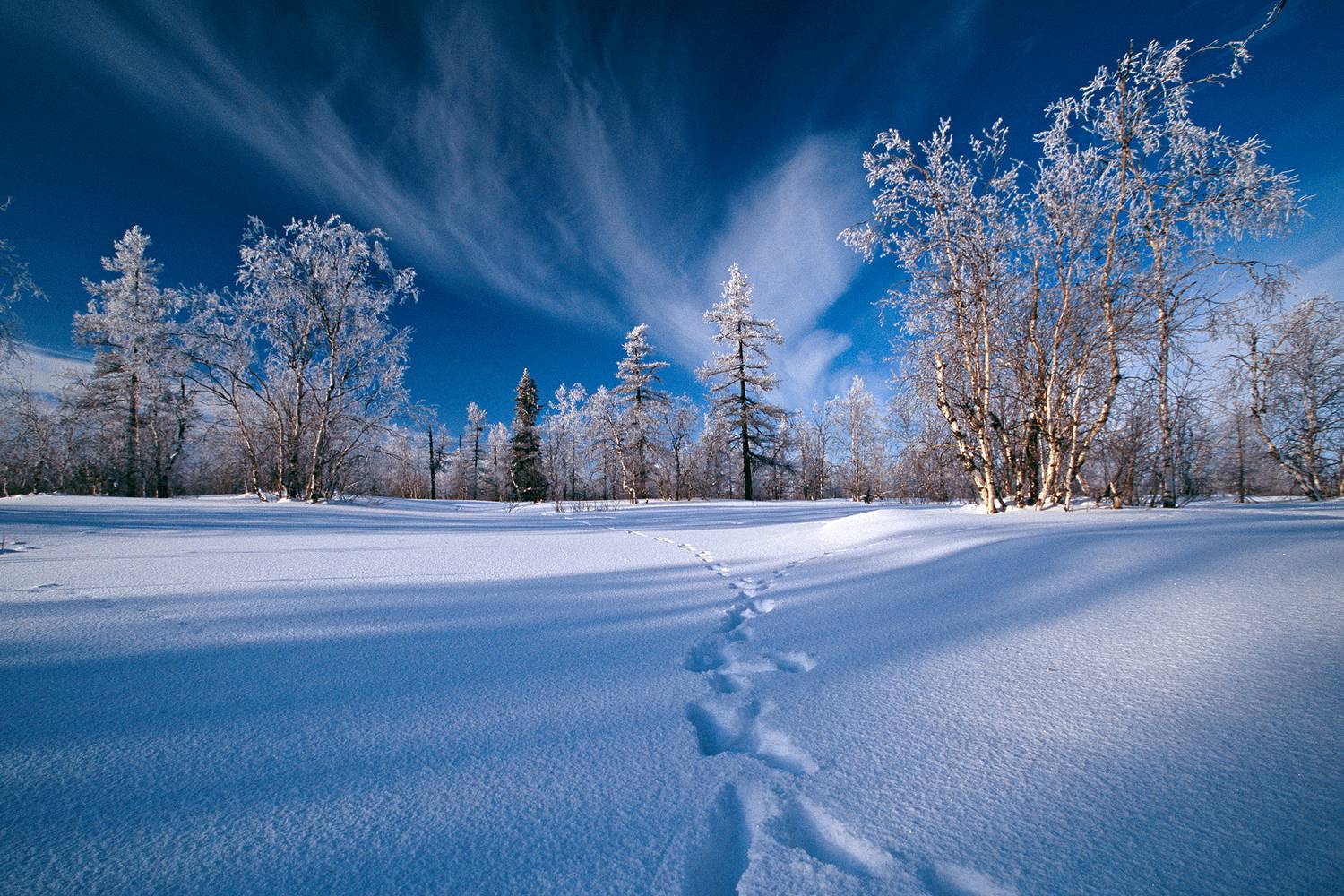 Январь. Автор: Геннадий Литвинов , Геннадий Литвинов