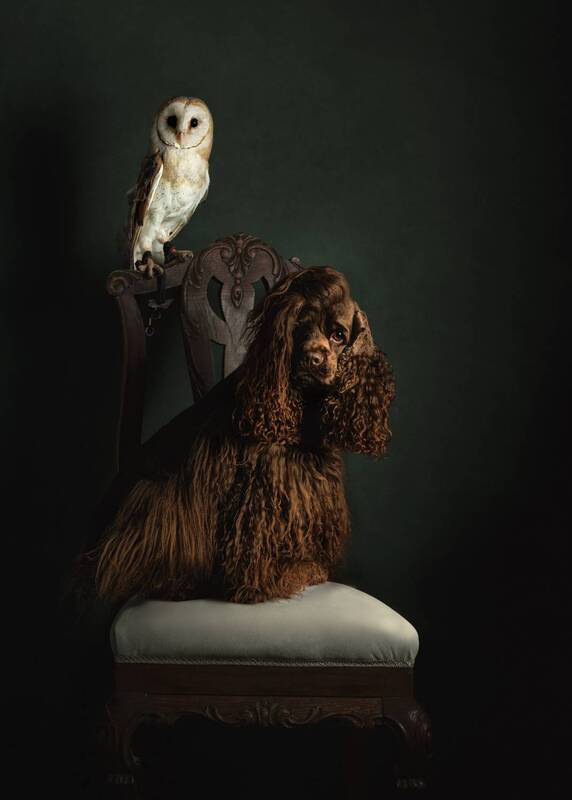 Maco y  Xenaphoto preview