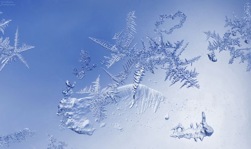 иней, лед, зима, макро, природа, frost, ice, winter, macro, nature, Иней фото превью