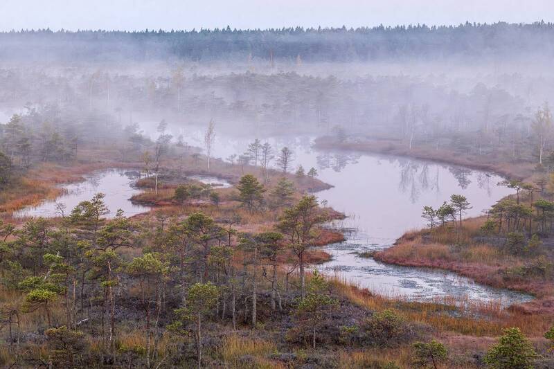 Туманное утроphoto preview