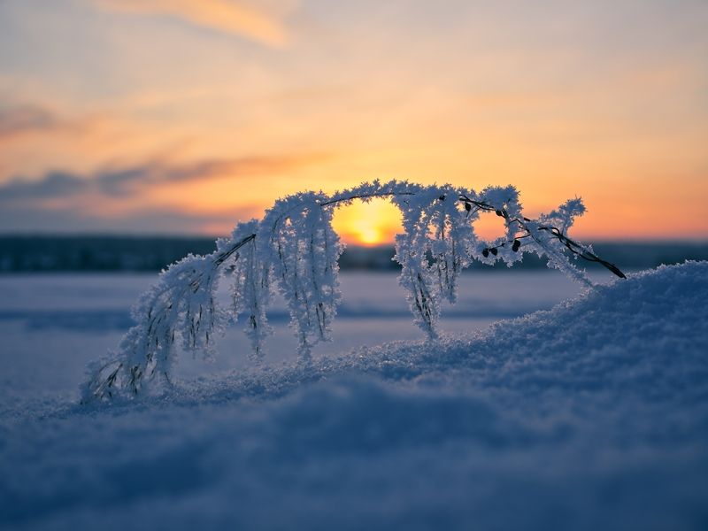 Мостphoto preview