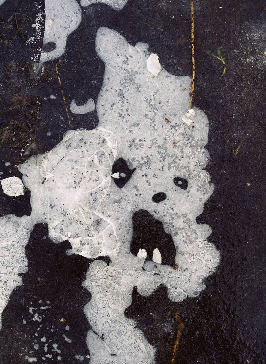 Парейдолия (замёрзшая лужа). Автор: Илья Веулоп pareidolia, Илья Веулоп