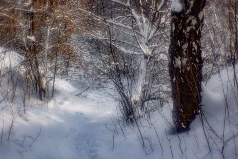 В паркеphoto preview