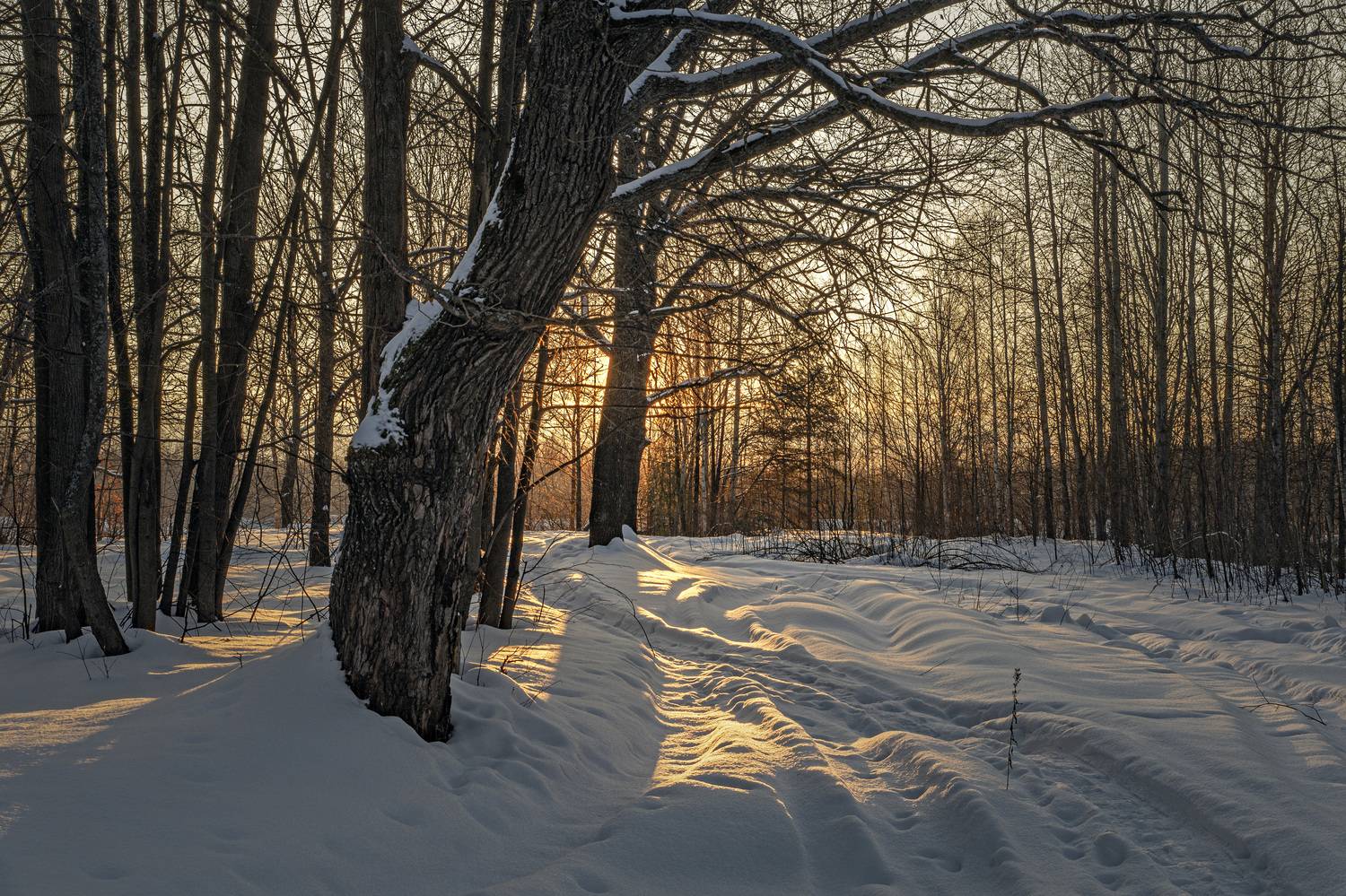 , Шитов Александр