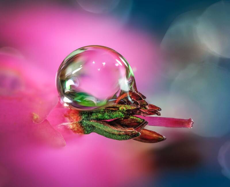 Капелька...photo preview