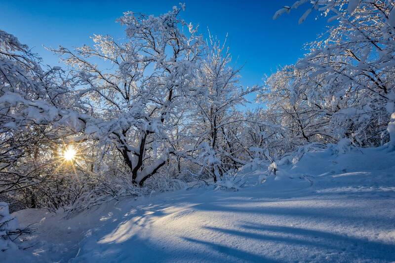 природа, зима, лес, снег, зимний лес, кумысная поляна Морозное утро..photo preview