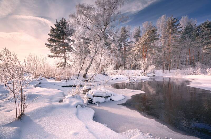 Бодрит ...photo preview