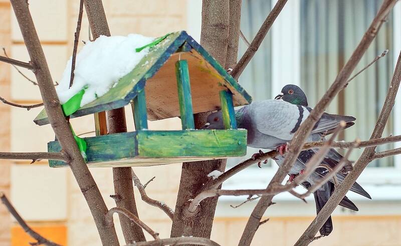 Ну, что там! Есть, что поклевать?photo preview