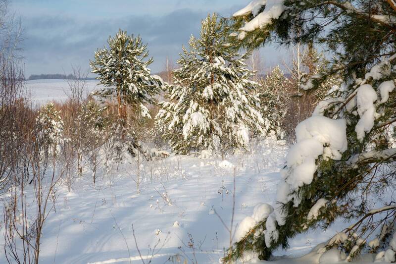 Хороводphoto preview