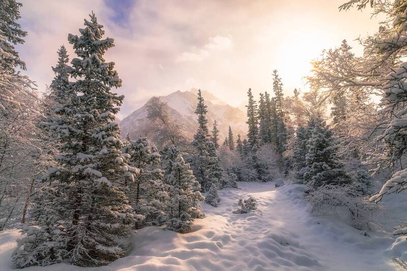 кыргызстан, ала-арча Нежность утраphoto preview