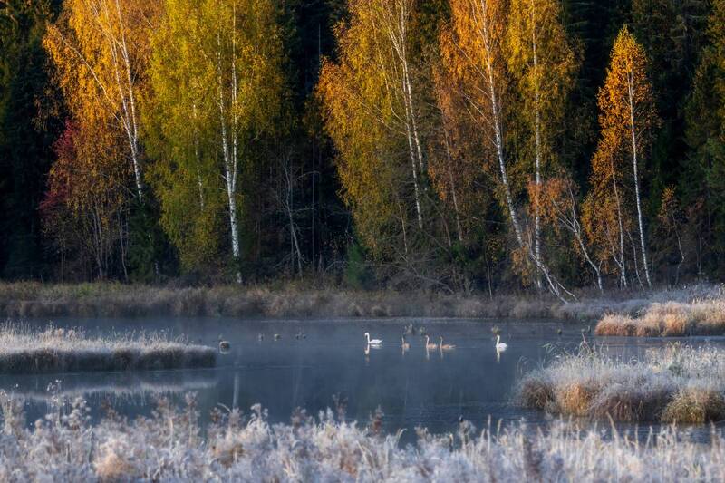 Лёд и пламяphoto preview