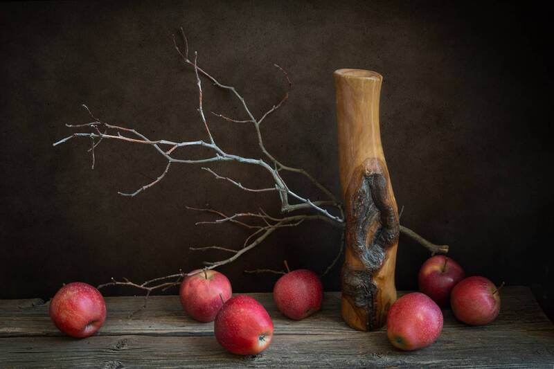 яблоки, яблоня, старый сад, ветка Про красные яблоки и старую яблонюphoto preview
