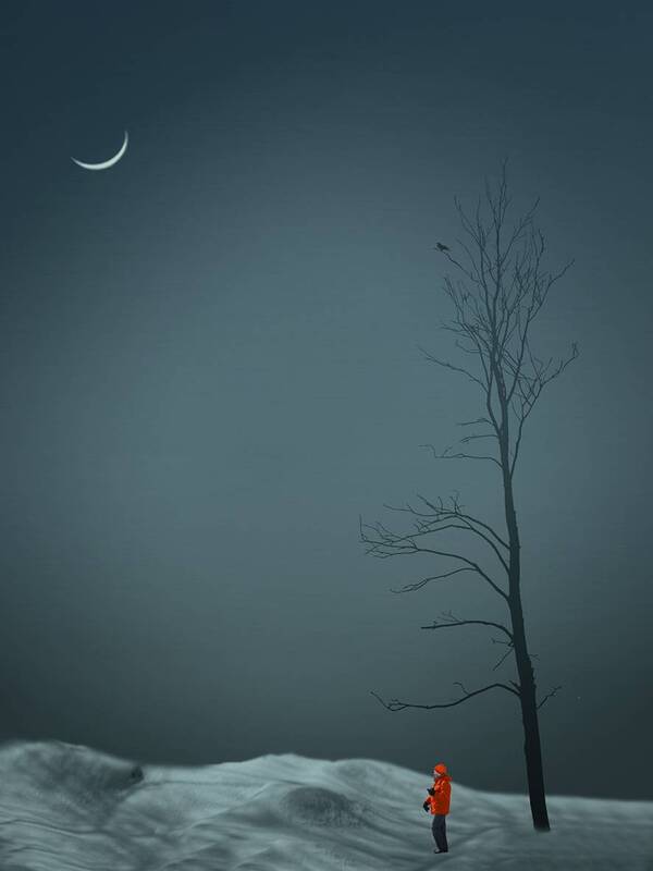 -Месяц молодой нас заворожил. Внизу меня и птицу на ветке.photo preview