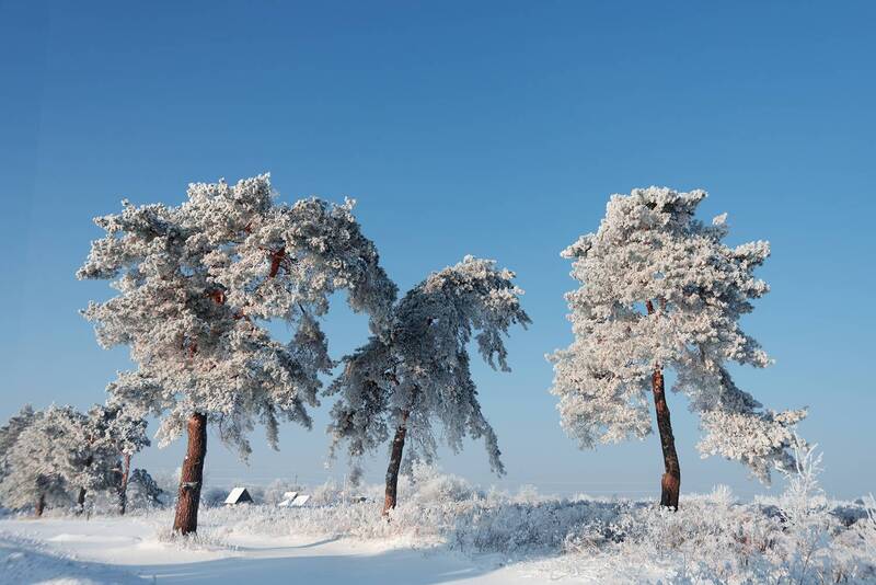За городомphoto preview