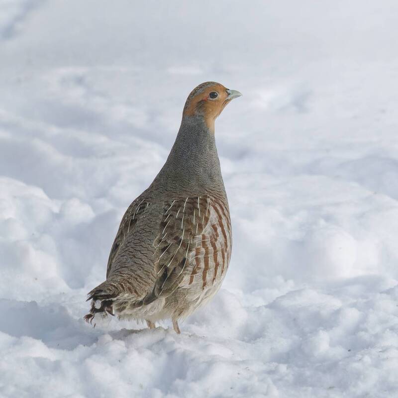 все. обнаружен... photo preview