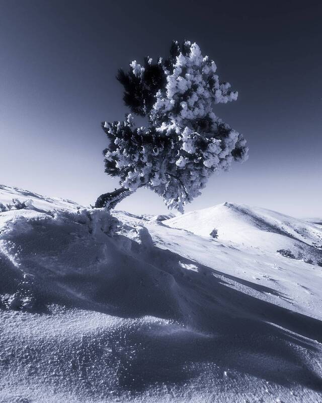 Where the wind and cold sculptphoto preview