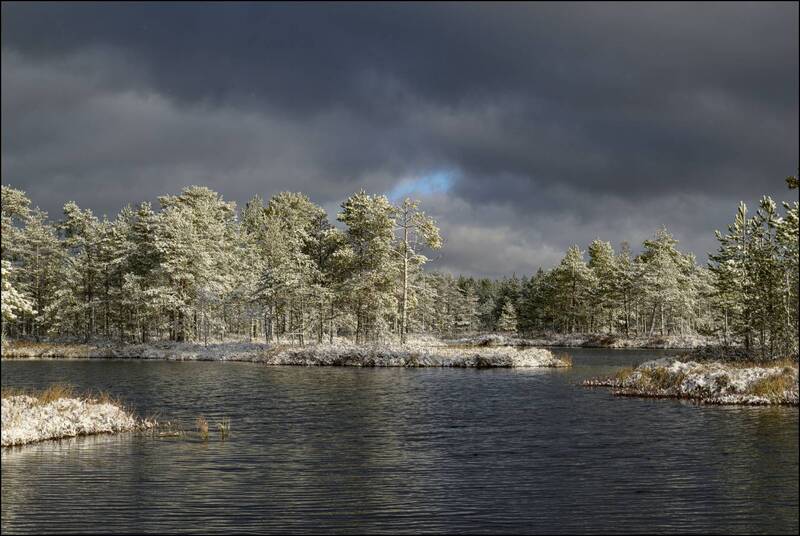 Первый снег на торфяниках (продолжение 2)photo preview