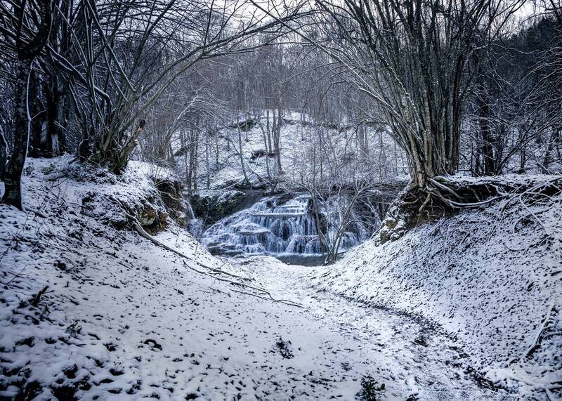 shrouded in silencephoto preview