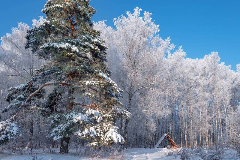 У леса на опушке.....photo preview