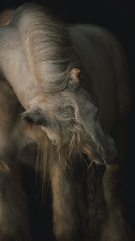 Lorenzophoto preview