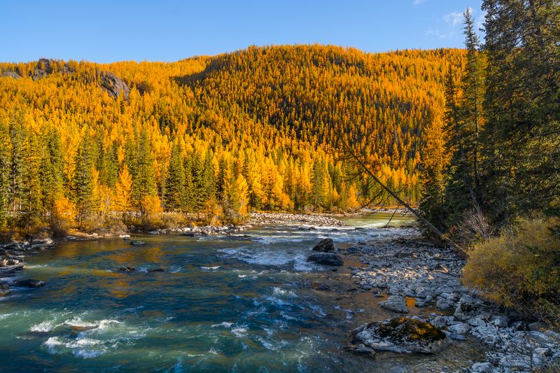 россия, горный алтай, река чуя, чуй-суу, осень Чуй-Сууphoto preview