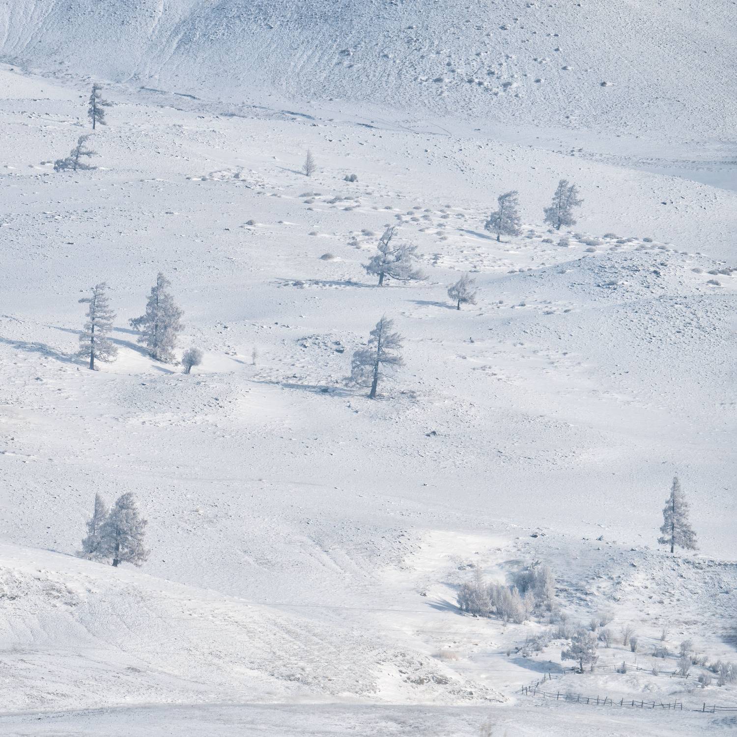 , Важенин Евгений