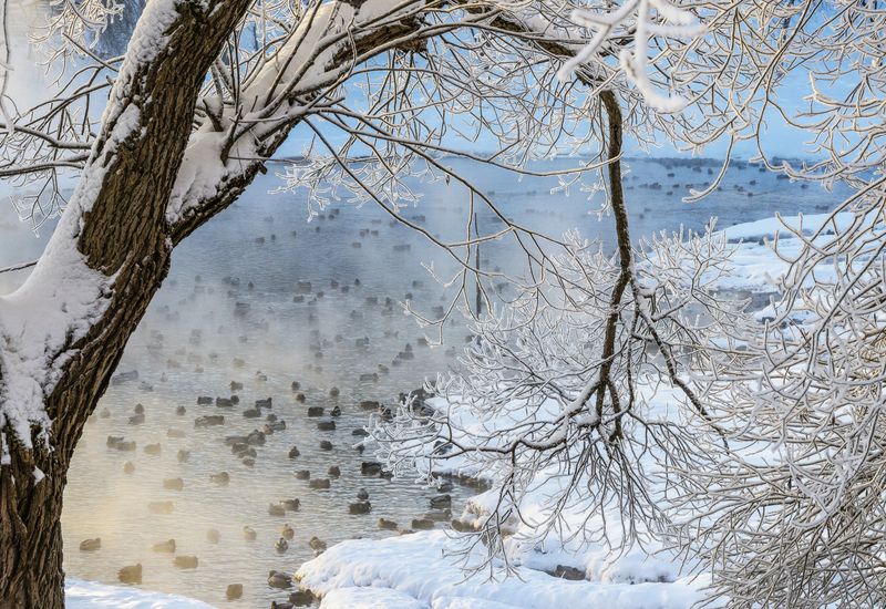 Киров, парк,пруд На прудуphoto preview