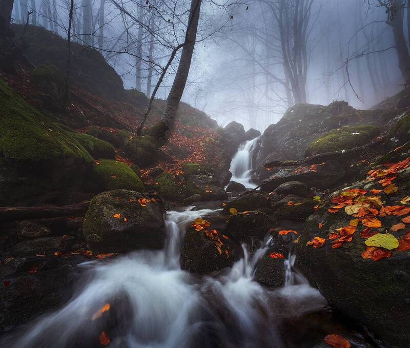 landscape nature scenery forest wood autumn mist misty fog foggy river longexposure mountain rocks vitosha bulgaria photo preview