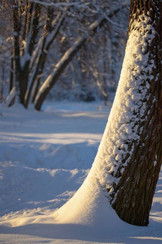 Зимняя медитацияphoto preview