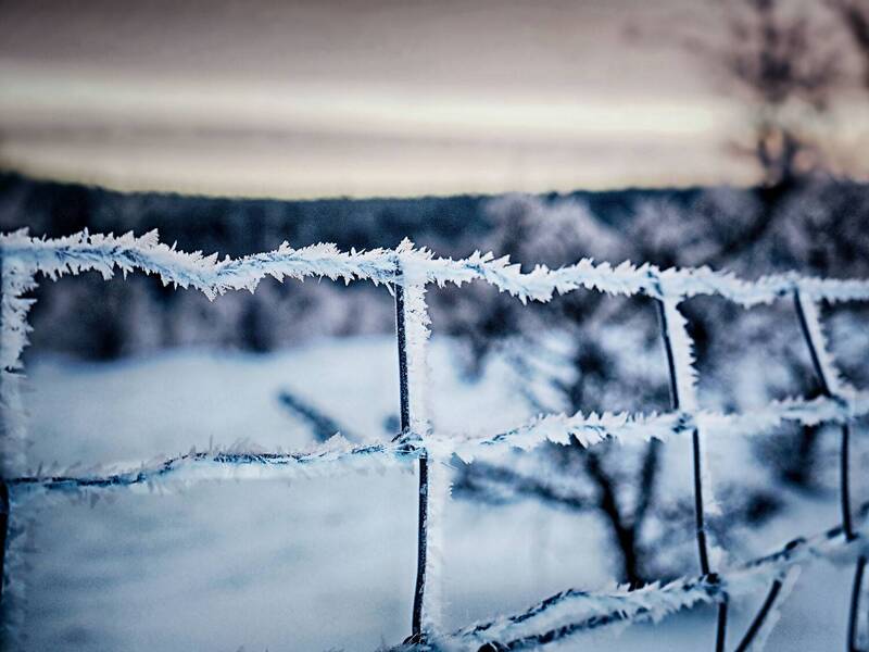 Winter is here 7photo preview