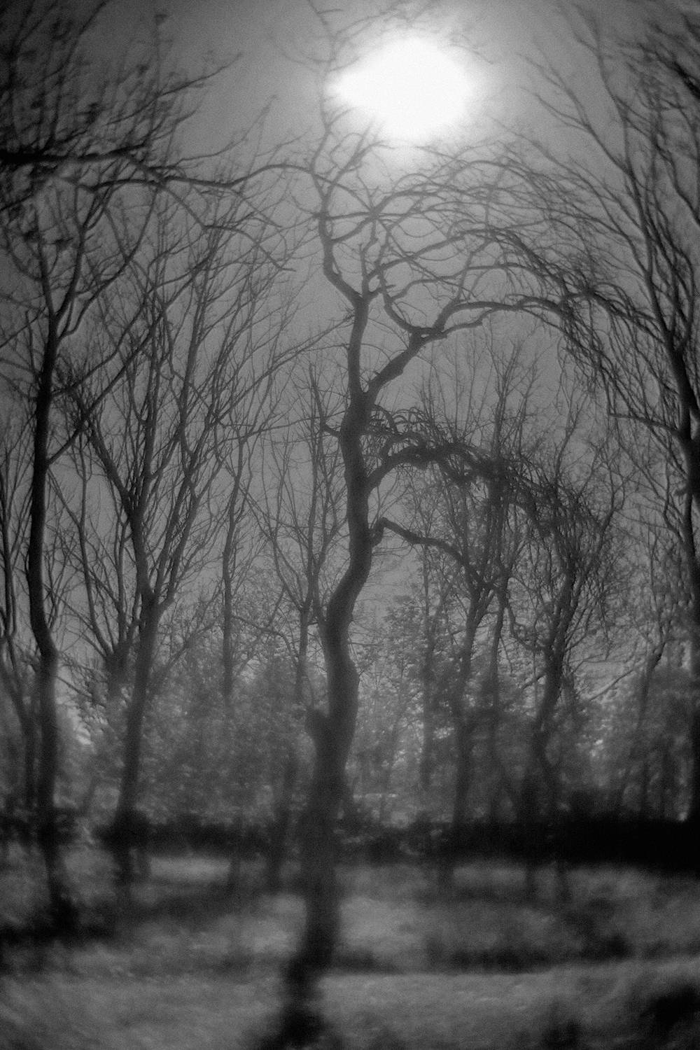 , Андрей Петросян