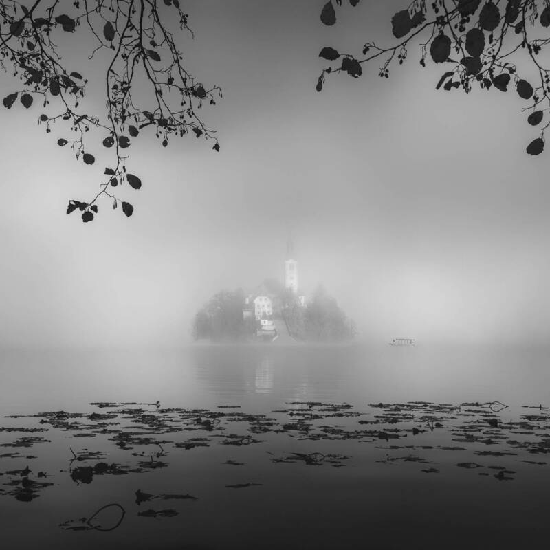 Suspendedphoto preview