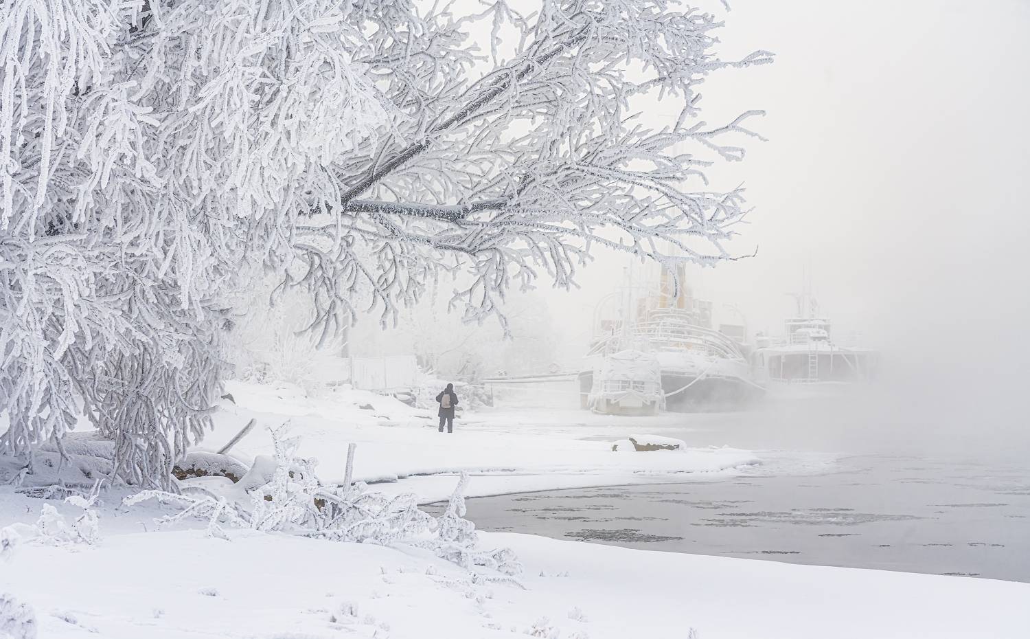 Автор: Анатолич , Анатолич
