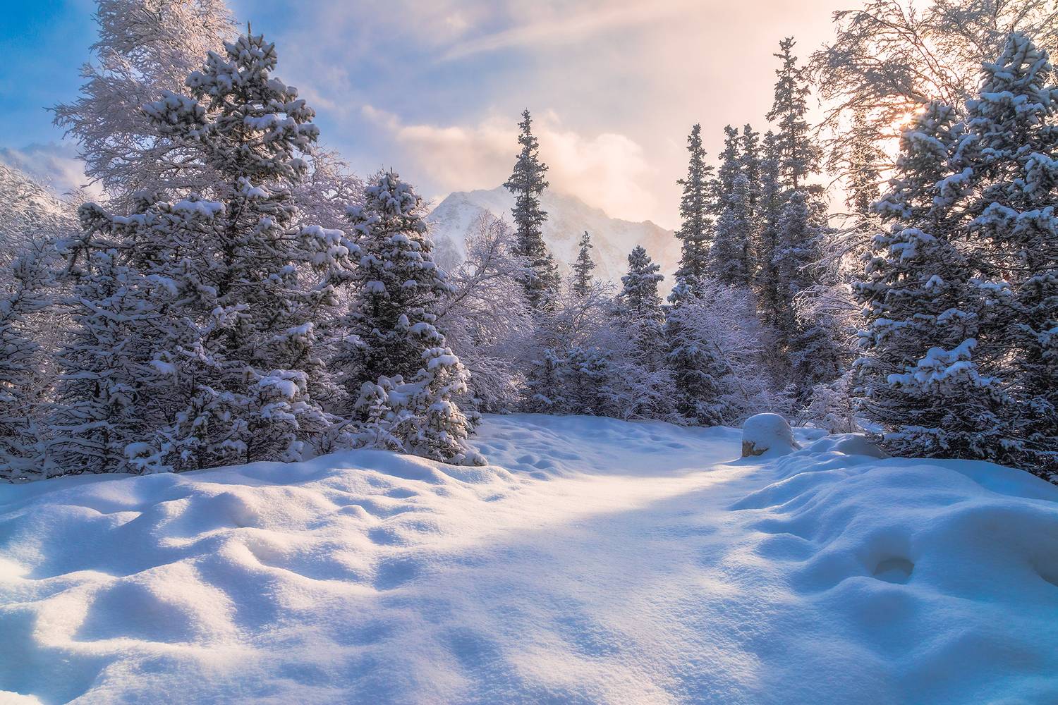 кыргызстан, ала-арча, Элина Магалимова
