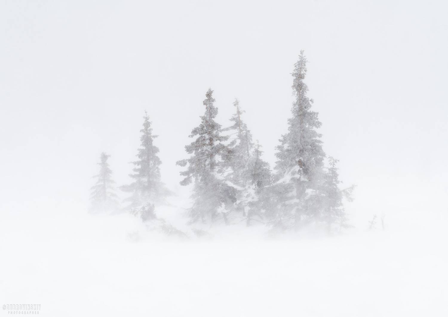 таганай, южный урал, метель, снег, Дубровинский Михаил