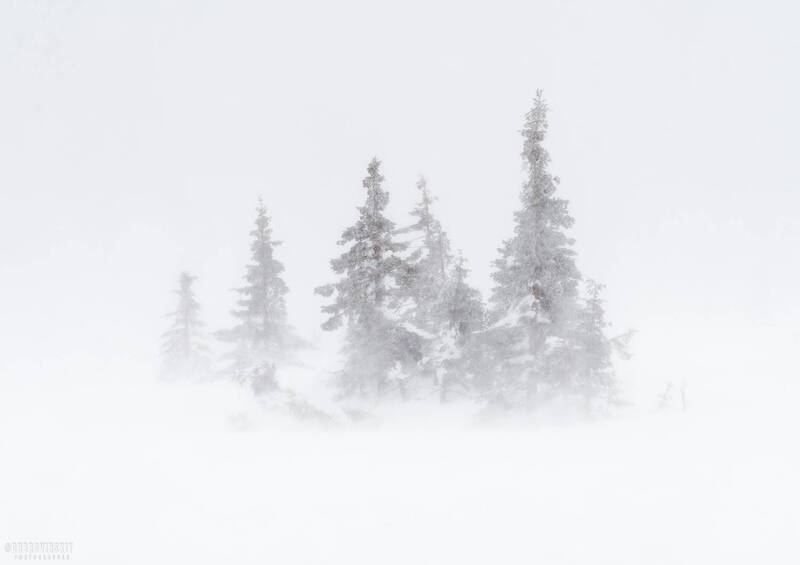 таганай, южный урал, метель, снег Белый пленphoto preview