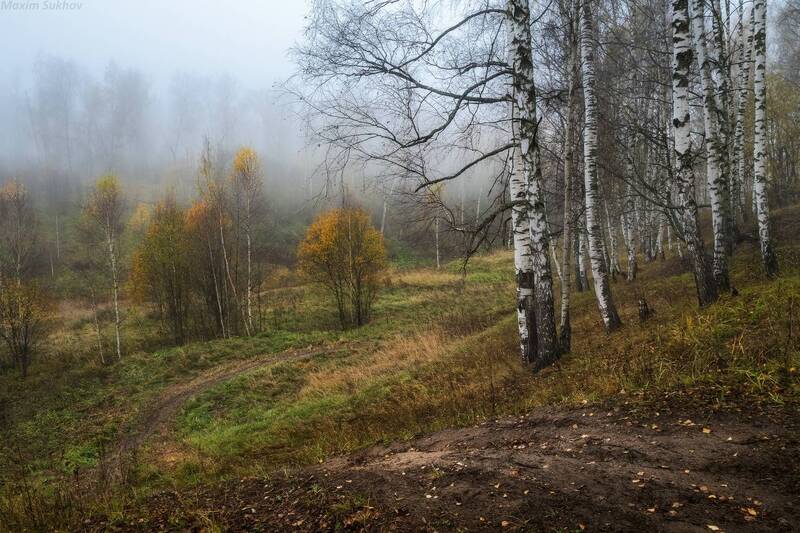 осень, вязники, камзяки  фото превью