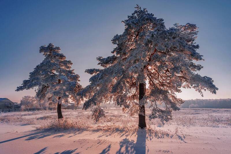 Яркий вечерphoto preview