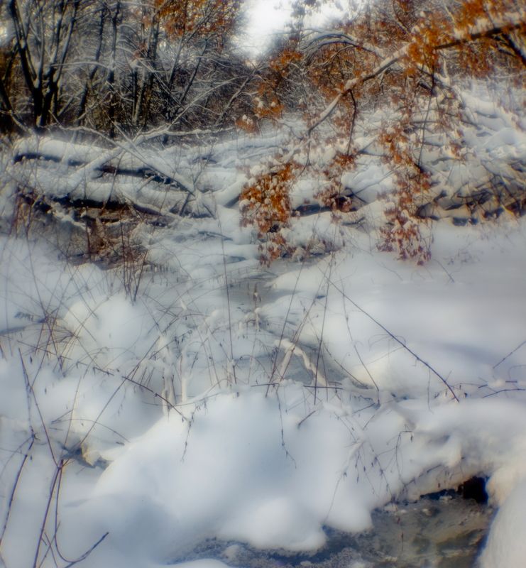 Заснеженный оврагphoto preview