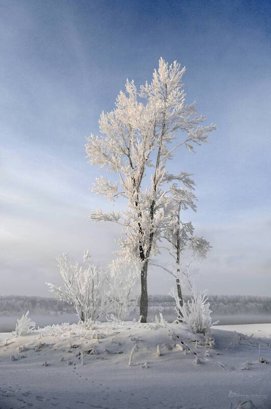 Зима сибирскаяphoto preview