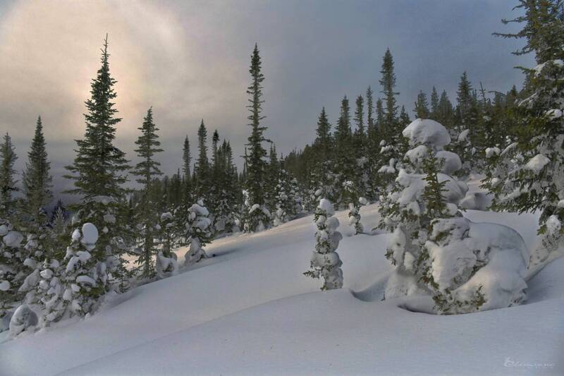 Зима сибирскаяphoto preview