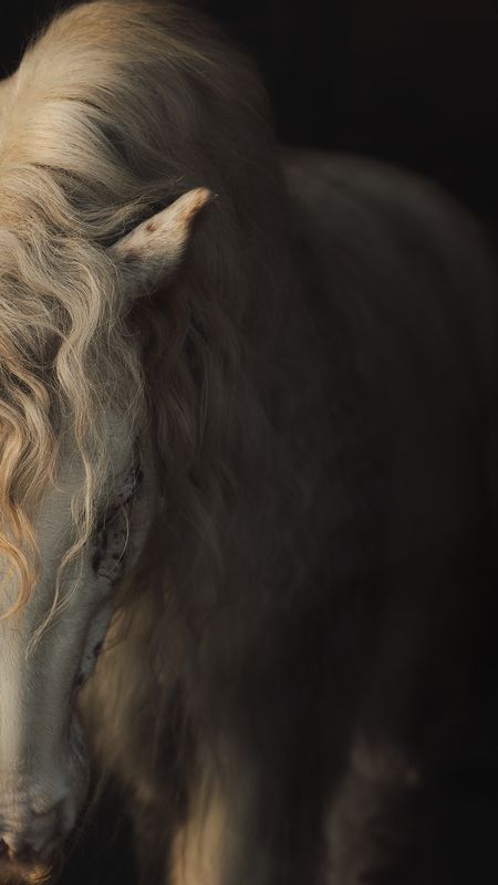 Lorenzophoto preview