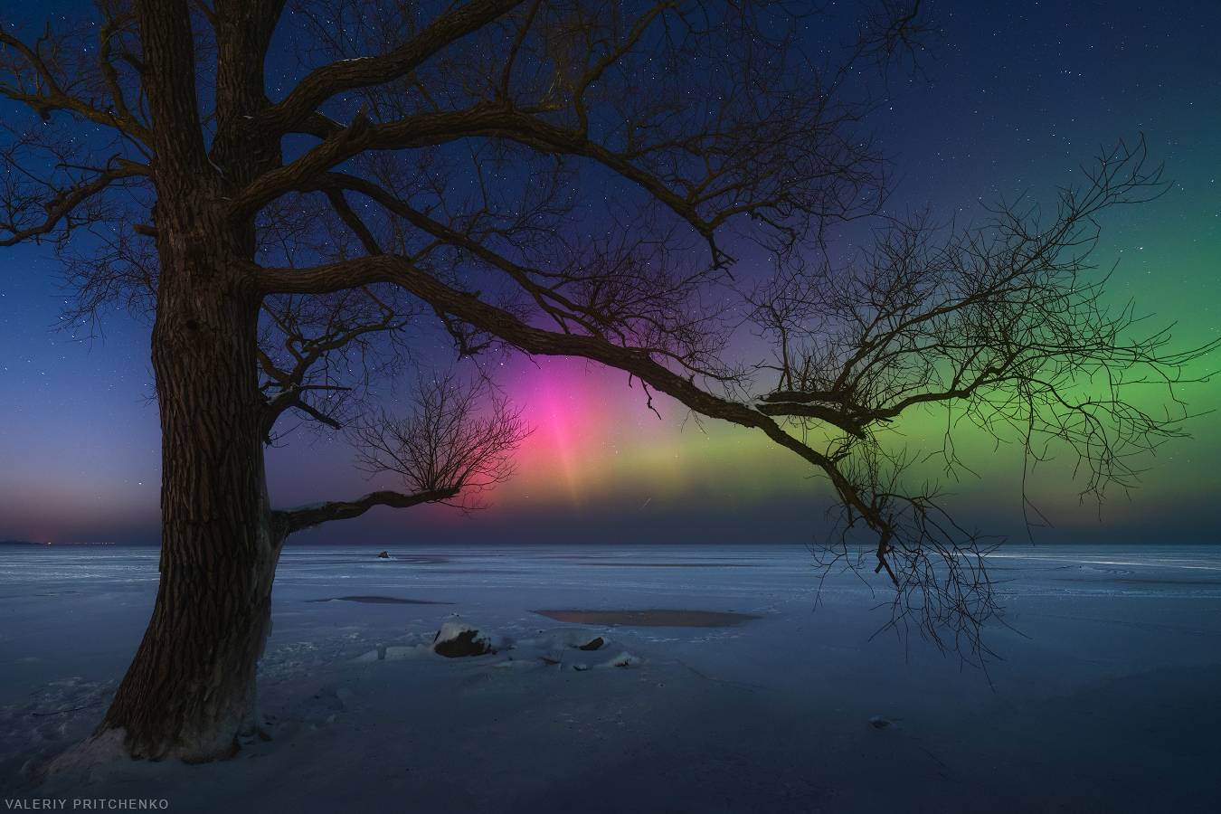 , Валерий Притченко