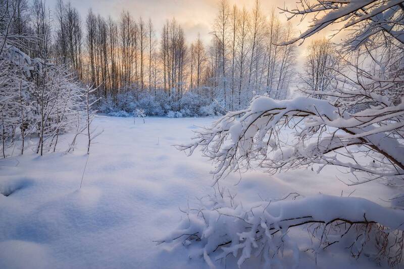 снег иней зима мороз Пушистая зимаphoto preview