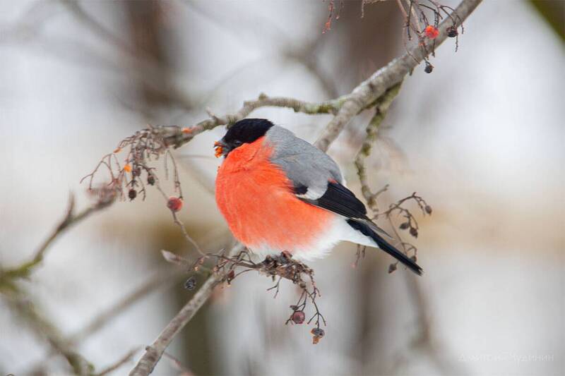 После праздниковphoto preview