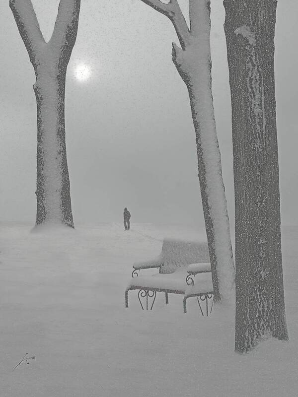 Хмурое утроphoto preview