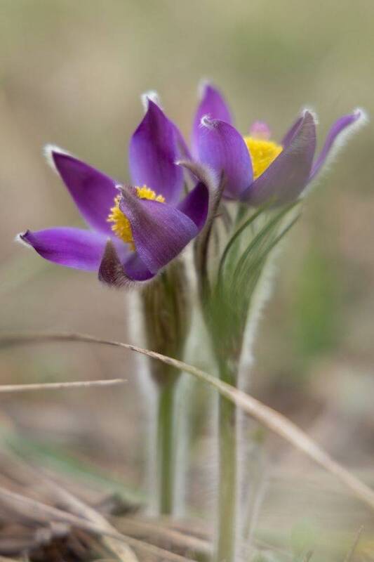 Портфолио. Марина Иванниковаphoto preview