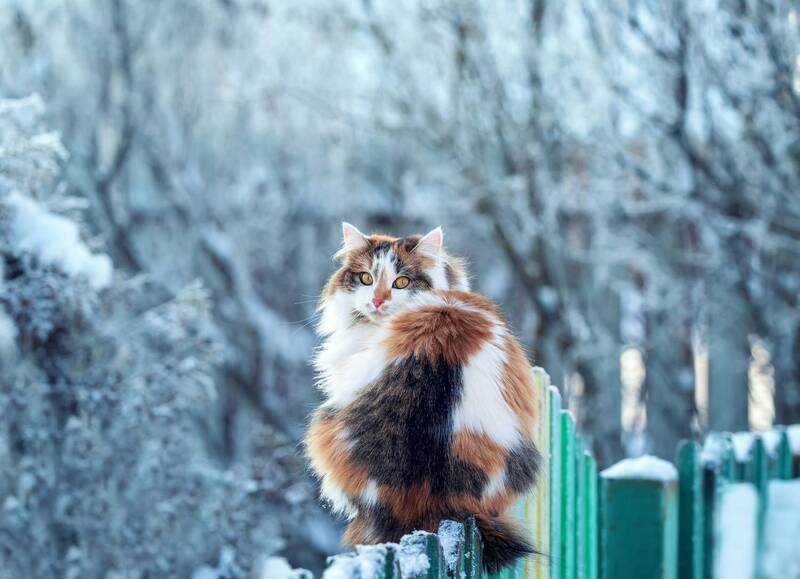 Марияphoto preview