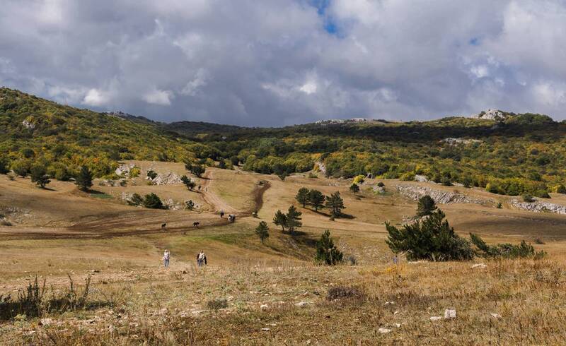 Осень на плато Ай-Петри.photo preview