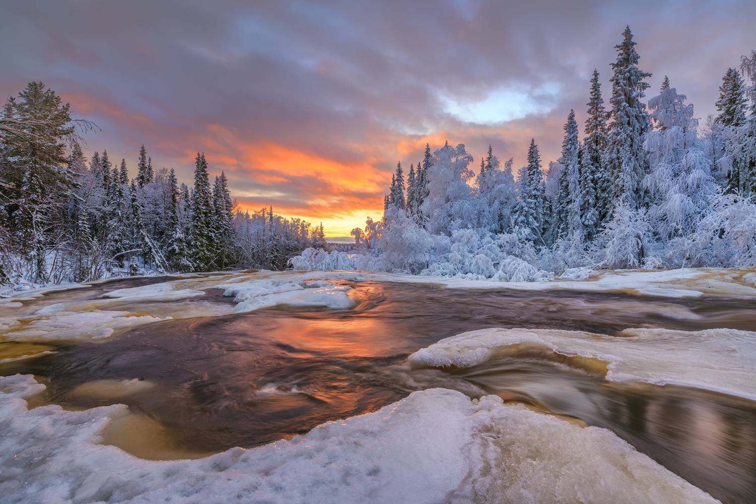 , Евдокимов Максим
